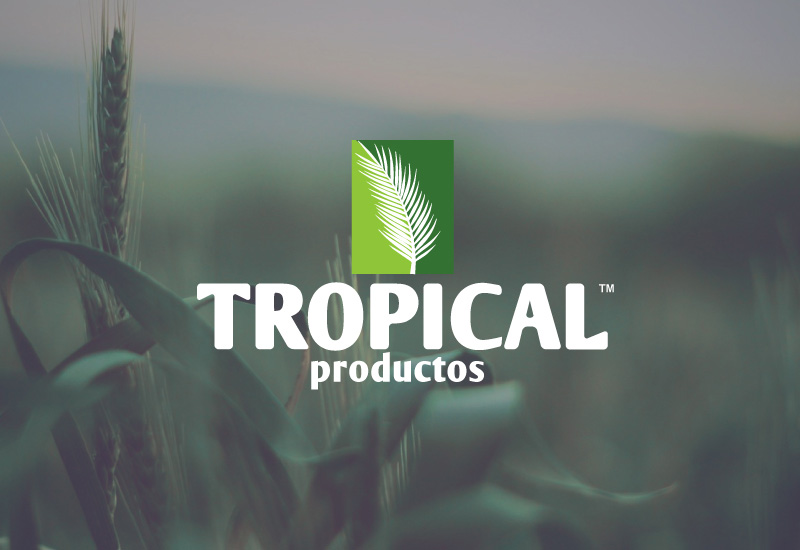 Diseño de logos en Ecuador